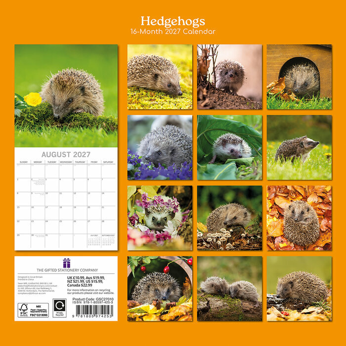 Calendrier Mural 2027 H�rissons 