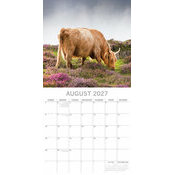 Calendrier 2027 Vaches des Highlands