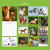 Calendrier papier 2027 Chevaux 