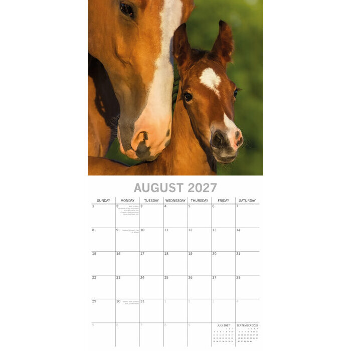 Calendrier Mural 2027 Chevaux 