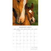 Calendrier Mural 2027 Chevaux 