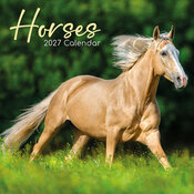 Calendrier Mural 2027 Chevaux 