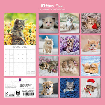 Calendrier 2027 Chatons Love Love