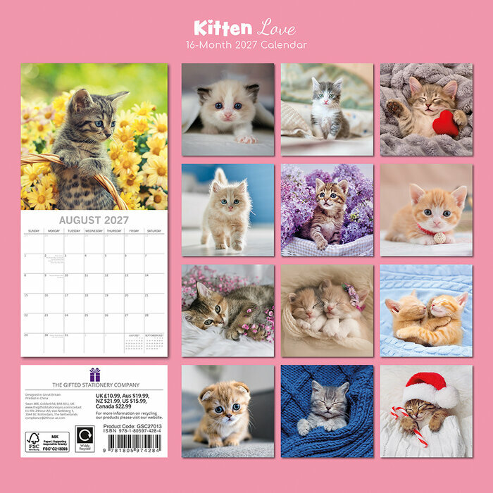 Calendrier 2027 Chatons Love Love Calendrier 2027 Chatons Mignons Fond Blanc