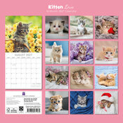 Calendrier 2027 Chatons Love Love Calendrier 2027 Chatons Mignons Fond Blanc