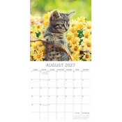 Calendrier 2027 Chatons Love Love Calendrier Mural 2027 Chatons Fond Blanc