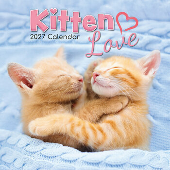 Calendrier 2027 Chatons Love Love