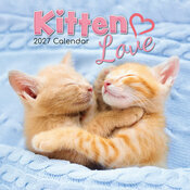 Calendrier 2027 Chatons Love Love Calendrier Mural 2027 Chatons Mignons Fond Blanc