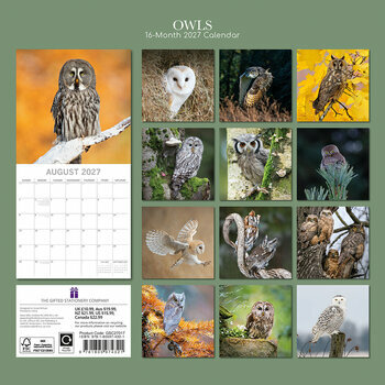 Calendrier 2027 Chouettes Majestueuses