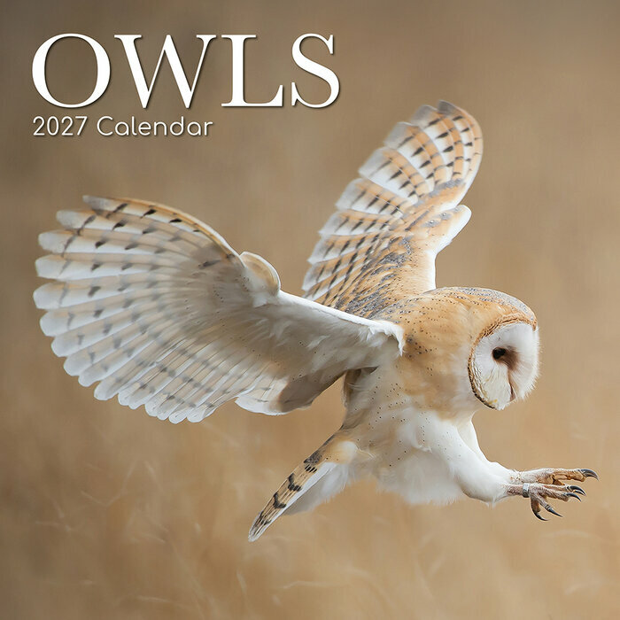 Calendrier Mural 2027 Chouettes Majestueuses