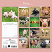 Calendrier 2027 Ferme et Cochons Cochon 