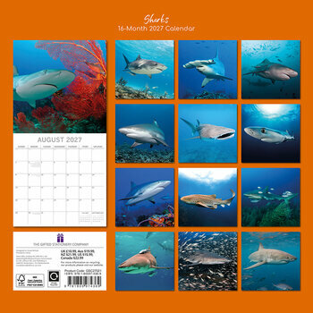 Calendrier 2027 Requins Squales