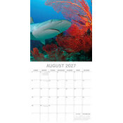 Calendrier 2027 Requins Squales Calendrier papier 2027 Requins Squales