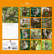 Calendrier 2027 Paresseux Suspendus Calendrier 2027 Paresseux Suspendus