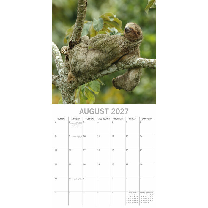 Calendrier 2027 Paresseux Suspendus Calendrier Mural 2027 Paresseux