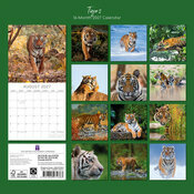 Calendrier 2027 Tigre Félins Calendrier 2027 Tigre Félins