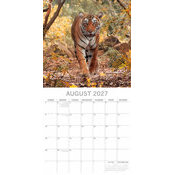 Calendrier 2027 Tigre Félins Calendrier papier 2027 Tigre Félins