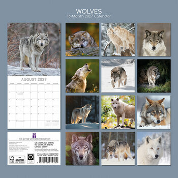 Calendrier 2027 Loups Louveteau