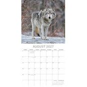 Calendrier papier 2027 Loups Louveteau