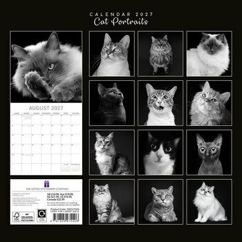 Calendrier 2027 Chats Portraits Noir et Blanc