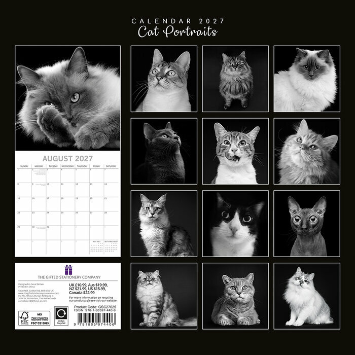 Calendrier 2027 mural Chats Portraits Noir et Blanc PAPIER