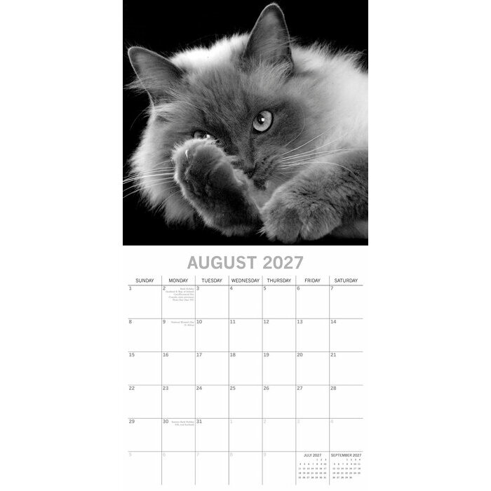 Calendrier 2027 Chats Portraits  PAPIER