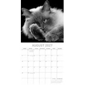 Calendrier 2027 Chats Portraits  PAPIER