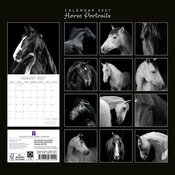 Calendrier 2027 Portraits Chevaux Noir et Blanc Calendrier 2027 Portraits Chevaux Noir et Blanc
