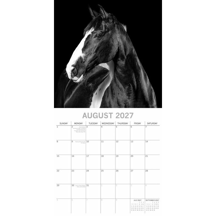 Calendrier 2027 Portraits Chevaux Noir et Blanc Calendrier Mural 2027 Chevaux