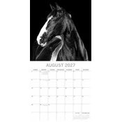 Calendrier 2027 Portraits Chevaux Noir et Blanc Calendrier Mural 2027 Chevaux
