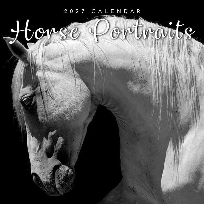 Calendrier 2027 Portraits Chevaux Noir et Blanc Calendrier Mural 2027 Portraits Chevaux Noir et Blanc