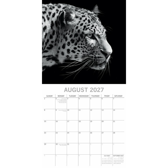 Calendrier 2027 Portraits Animaux Sauvages Noir et Blanc Calendrier Mural 2027 Portraits Animaux Sauvages