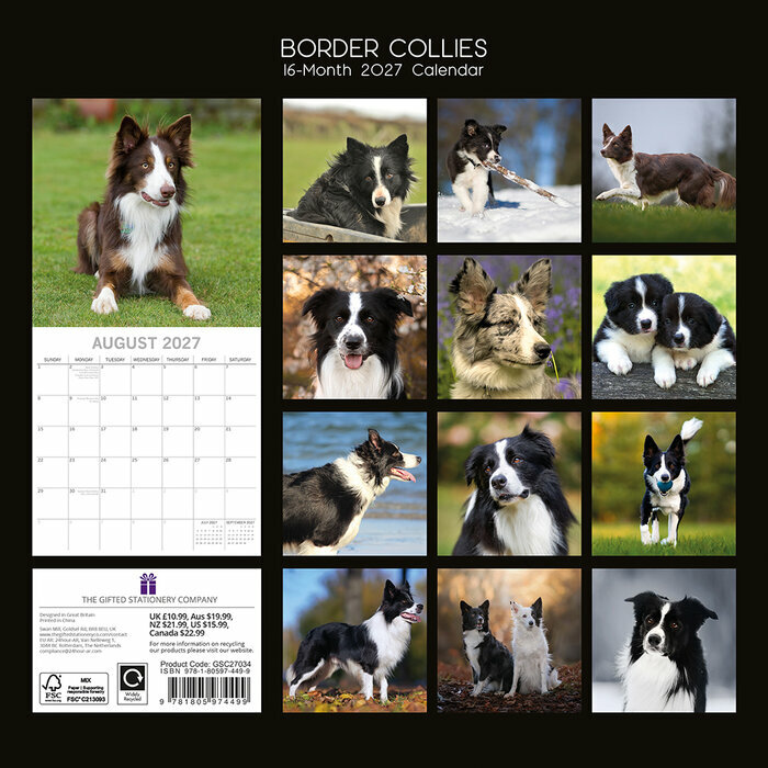 Calendrier 2027 Chien Border Collie Calendrier 2027 Chien Border Collie