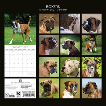 Calendrier 2027 Chien Boxer