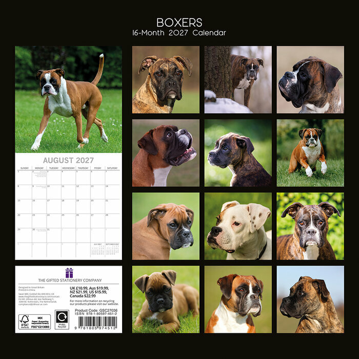 Calendrier 2027 Chien Boxer