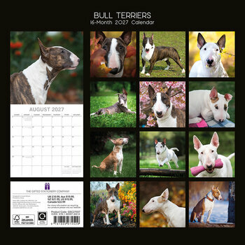 Calendrier 2027 Chien Bull Terrier 