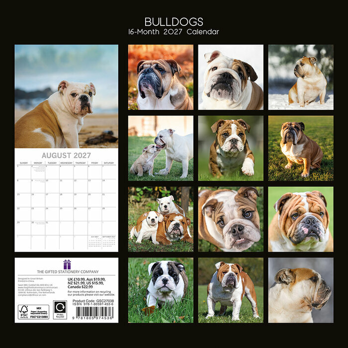 Calendrier 2027 Chien Bulldog Anglais