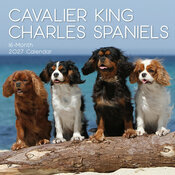 Calendrier Mural 2027 Chien Cavalier King Charles