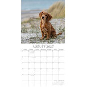 Calendrier papier 2027 Chien Cocker Anglais