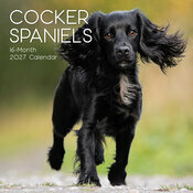 Calendrier Mural 2027 Chien Cocker Anglais