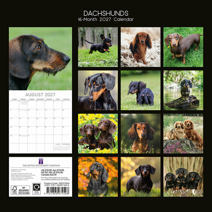 Calendrier 2027 Chien Teckels Calendrier 2027 Chien Teckels