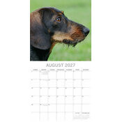 Calendrier 2027 Chien Teckels Calendrier papier 2027 Chien Teckels