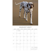 Calendrier 2027 Chien Dalmatien Calendrier Papier 2027 Dalmatien
