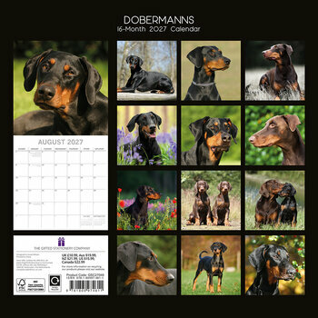 Calendrier 2027 Chien Doberman