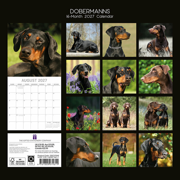 Calendrier 2027 Chien Doberman Calendrier 2027 Chien Doberman