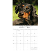 Calendrier 2027 Chien Doberman Calendrier papier 2027 Chien Doberman