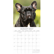 Calendrier 2027 Chien Bouledogue Français Calendrier Papier 2027 Chien Bouledogue Français