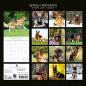 Calendrier 2027 Chien Berger Allemand Calendrier 2027 Chien Berger Allemand