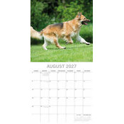 Calendrier 2027 Chien Berger Allemand Calendrier papier 2027 Chien Berger Allemand