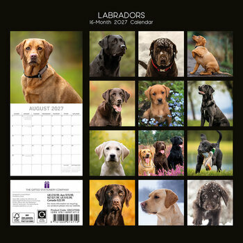 Calendrier 2027 Chien Labrador